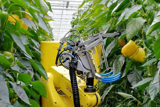 FANUC_TarımSektoru_Robotlar_2